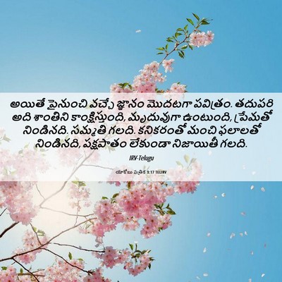 Picture 06 - యాకోబు పత్రిక 3:17 TELIRV - అయితే పైనుంచి - Bible Verse Picture