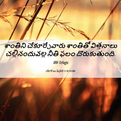 Picture 06 - యాకోబు పత్రిక 3:18 TELIRV - శాంతిని - Bible Verse Picture