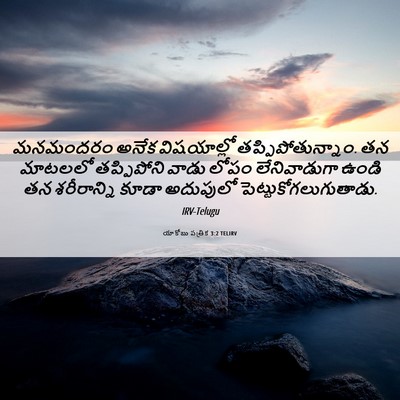Picture 06 - యాకోబు పత్రిక 3:2 TELIRV - మనమందరం అనేక - Bible Verse Picture