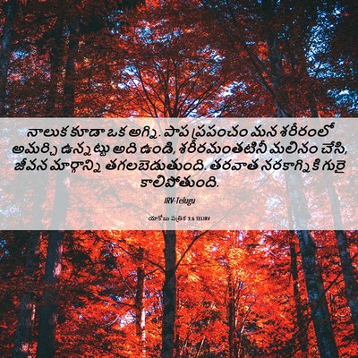 Picture 06 - యాకోబు పత్రిక 3:6 TELIRV - నాలుక కూడా ఒక - Bible Verse Picture