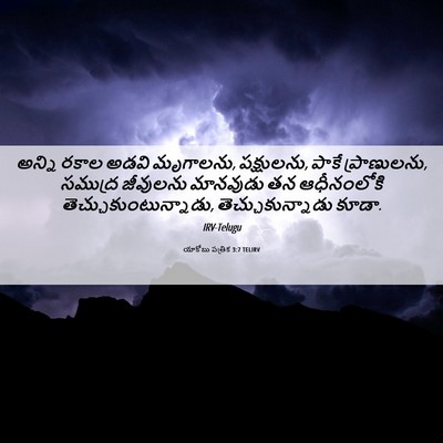 Picture 06 - యాకోబు పత్రిక 3:7 TELIRV - అన్ని రకాల అడవి - Bible Verse Picture