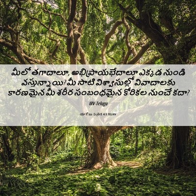 Picture 06 - యాకోబు పత్రిక 4:1 TELIRV - మీలో తగాదాలూ, - Bible Verse Picture