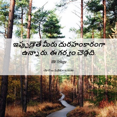 Picture 06 - యాకోబు పత్రిక 4:16 TELIRV - ఇప్పుడైతే మీరు - Bible Verse Picture