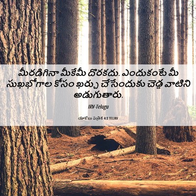 Picture 06 - యాకోబు పత్రిక 4:3 TELIRV - మీరడిగినా మీకేమీ - Bible Verse Picture