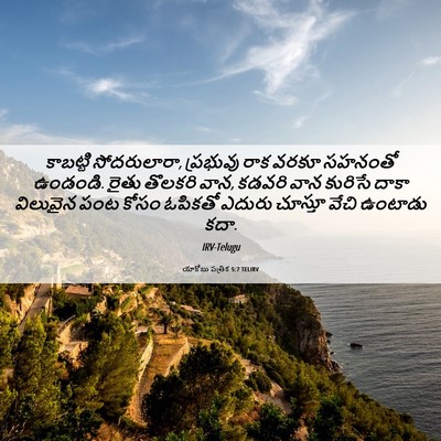 Picture 06 - యాకోబు పత్రిక 5:7 TELIRV - కాబట్టి - Bible Verse Picture
