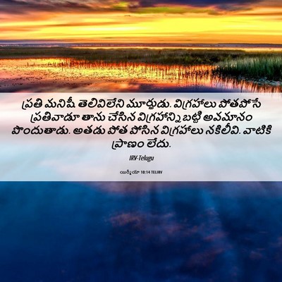 Picture 06 - యిర్మీయా 10:14 TELIRV - ప్రతి మనిషీ - Bible Verse Picture