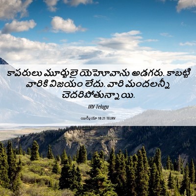 Picture 06 - యిర్మీయా 10:21 TELIRV - కాపరులు మూర్ఖులై - Bible Verse Picture