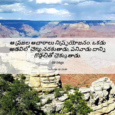 Picture 06 - యిర్మీయా 10:3 TELIRV - ఆ ప్రజల ఆచారాలు - Bible Verse Picture