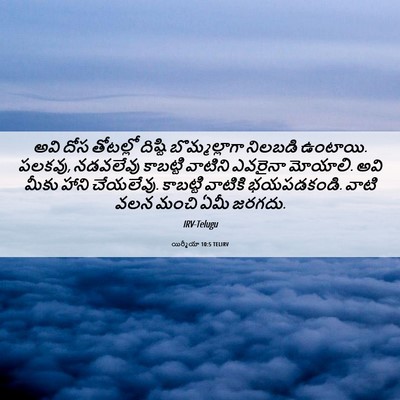Picture 06 - యిర్మీయా 10:5 TELIRV - అవి దోస తోటల్లో - Bible Verse Picture