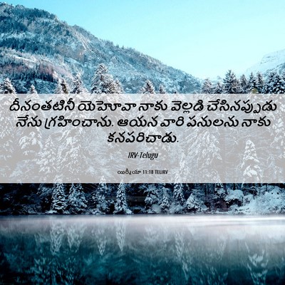 Picture 06 - యిర్మీయా 11:18 TELIRV - దీనంతటినీ యెహోవా - Bible Verse Picture