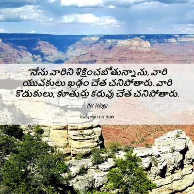 Picture 06 - యిర్మీయా 11:22 TELIRV - “నేను వారిని - Bible Verse Picture