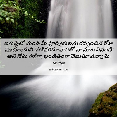 Picture 06 - యిర్మీయా 11:7 TELIRV - ఐగుప్తులో నుండి - Bible Verse Picture