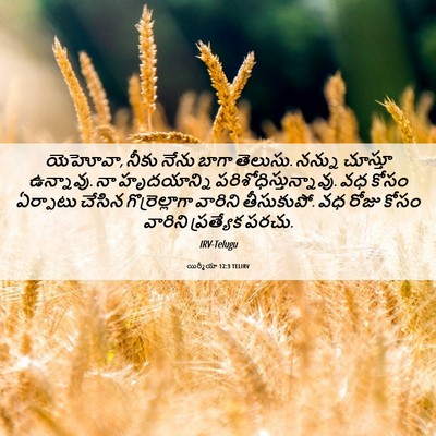 Picture 06 - యిర్మీయా 12:3 TELIRV - యెహోవా, నీకు నేను - Bible Verse Picture