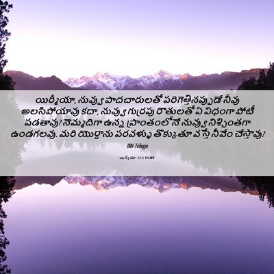 Picture 06 - యిర్మీయా 12:5 TELIRV - యిర్మీయా, నువ్వు - Bible Verse Picture