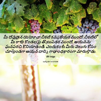 Picture 06 - యిర్మీయా 13:16 TELIRV - మీ దేవుడైన యెహోవా - Bible Verse Picture