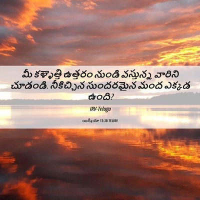 Picture 06 - యిర్మీయా 13:20 TELIRV - మీ కళ్ళెత్తి - Bible Verse Picture