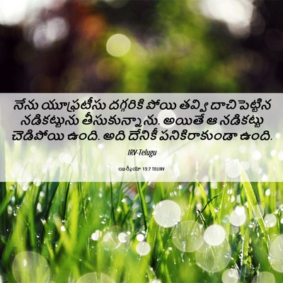 Picture 06 - యిర్మీయా 13:7 TELIRV - నేను యూఫ్రటీసు - Bible Verse Picture