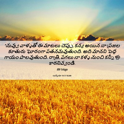 Picture 06 - యిర్మీయా 14:17 TELIRV - “నువ్వు వాళ్ళతో ఈ - Bible Verse Picture