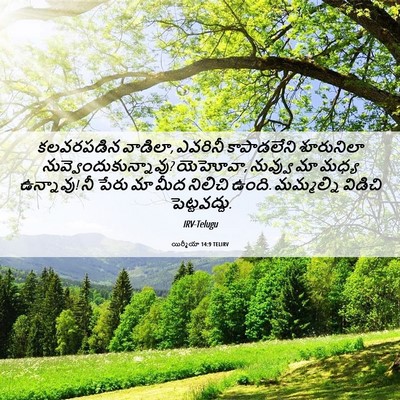 Picture 06 - యిర్మీయా 14:9 TELIRV - కలవరపడిన వాడిలా, - Bible Verse Picture