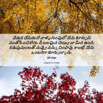 Picture 06 - యిర్మీయా 15:17 TELIRV - వేడుక చేసుకునే - Bible Verse Picture