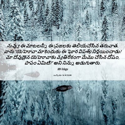 Picture 06 - యిర్మీయా 16:10 TELIRV - నువ్వు ఈ మాటలన్నీ - Bible Verse Picture