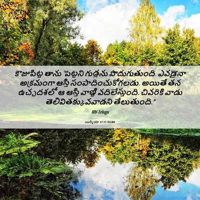 Picture 06 - యిర్మీయా 17:11 TELIRV - కౌజుపిట్ట తాను - Bible Verse Picture