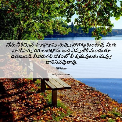Picture 06 - యిర్మీయా 17:4 TELIRV - నేను నీకిచ్చిన - Bible Verse Picture