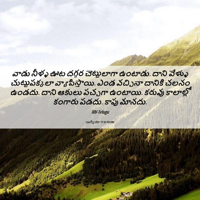 Picture 06 - యిర్మీయా 17:8 TELIRV - వాడు నీళ్ళ ఊట - Bible Verse Picture