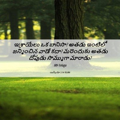 Picture 06 - యిర్మీయా 2:14 TELIRV - ఇశ్రాయేలు ఒక - Bible Verse Picture