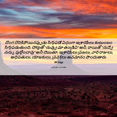 Picture 06 - యిర్మీయా 2:26 TELIRV - దొంగ - Bible Verse Picture