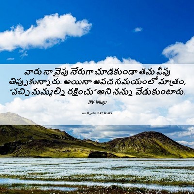 Picture 06 - యిర్మీయా 2:27 TELIRV - వారు నా వైపు - Bible Verse Picture