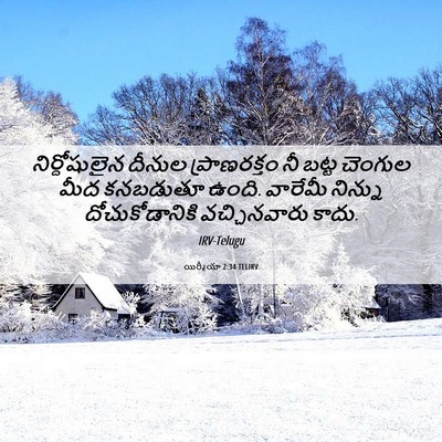 Picture 06 - యిర్మీయా 2:34 TELIRV - నిర్దోషులైన దీనుల - Bible Verse Picture