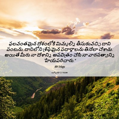 Picture 06 - యిర్మీయా 2:7 TELIRV - ఫలవంతమైన దేశంలోకి - Bible Verse Picture