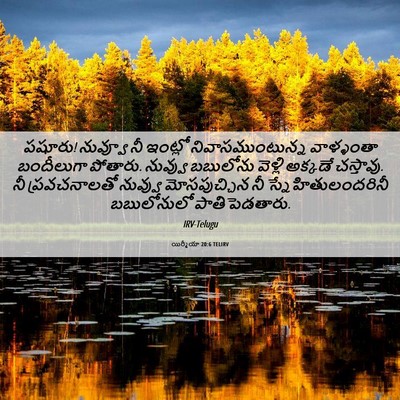 Picture 06 - యిర్మీయా 20:6 TELIRV - పషూరు! నువ్వూ నీ - Bible Verse Picture