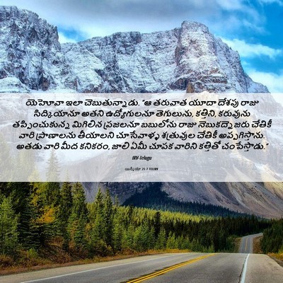 Picture 06 - యిర్మీయా 21:7 TELIRV - యెహోవా ఇలా - Bible Verse Picture
