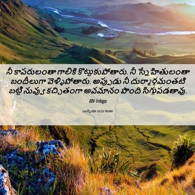 Picture 06 - యిర్మీయా 22:22 TELIRV - నీ కాపరులంతా - Bible Verse Picture