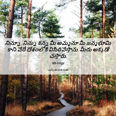 Picture 06 - యిర్మీయా 22:26 TELIRV - నిన్నూ, నిన్ను - Bible Verse Picture