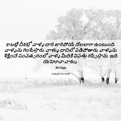 Picture 06 - యిర్మీయా 23:12 TELIRV - కాబట్టి చీకట్లో - Bible Verse Picture