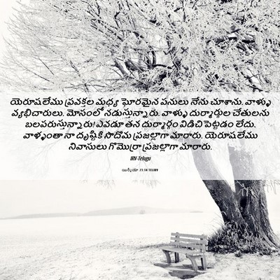 Picture 06 - యిర్మీయా 23:14 TELIRV - యెరూషలేము - Bible Verse Picture