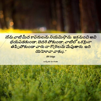 Picture 06 - యిర్మీయా 23:4 TELIRV - నేను వాటి మీద - Bible Verse Picture