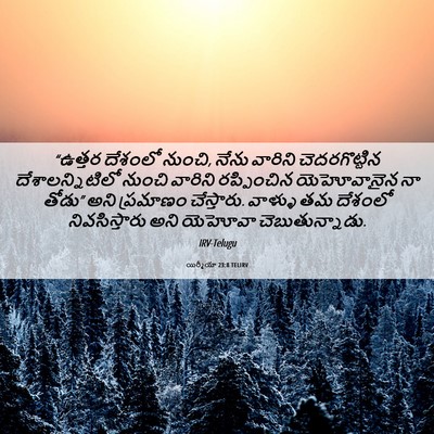 Picture 06 - యిర్మీయా 23:8 TELIRV - “ఉత్తర దేశంలో - Bible Verse Picture