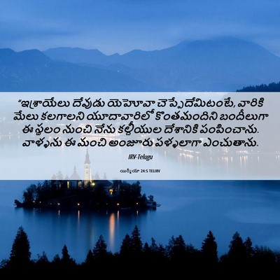 Picture 06 - యిర్మీయా 24:5 TELIRV - “ఇశ్రాయేలు దేవుడు - Bible Verse Picture