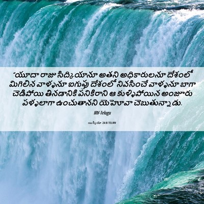 Picture 06 - యిర్మీయా 24:8 TELIRV - “యూదా రాజు - Bible Verse Picture
