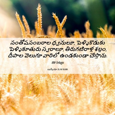 Picture 06 - యిర్మీయా 25:10 TELIRV - సంతోషసంబరాల - Bible Verse Picture