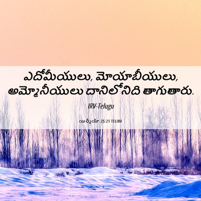 Picture 06 - యిర్మీయా 25:21 TELIRV - ఎదోమీయులు, - Bible Verse Picture