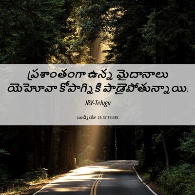Picture 06 - యిర్మీయా 25:37 TELIRV - ప్రశాంతంగా ఉన్న - Bible Verse Picture