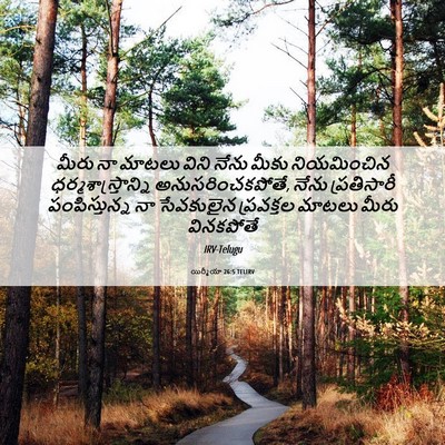Picture 06 - యిర్మీయా 26:5 TELIRV - మీరు నా మాటలు విని - Bible Verse Picture