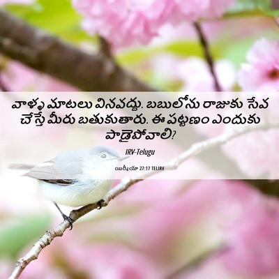 Picture 06 - యిర్మీయా 27:17 TELIRV - వాళ్ళ మాటలు - Bible Verse Picture
