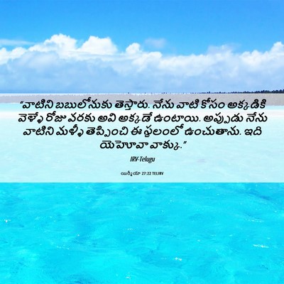 Picture 06 - యిర్మీయా 27:22 TELIRV - “వాటిని బబులోనుకు - Bible Verse Picture