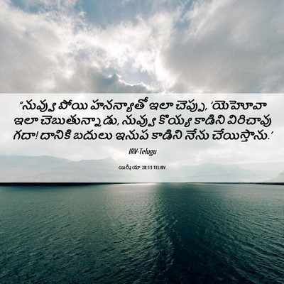 Picture 06 - యిర్మీయా 28:13 TELIRV - “నువ్వు పోయి - Bible Verse Picture